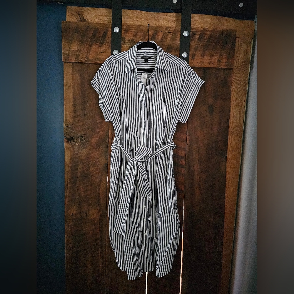 Banana Republic Shirt Dress
